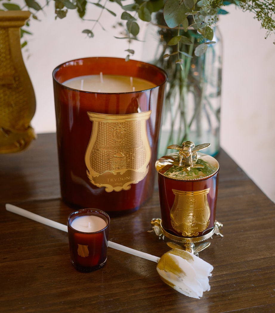Cire Candle (270g) AMBER Image 3