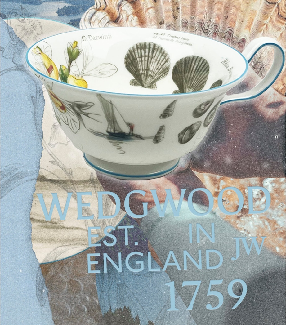 Voyage of the Beagle Brazil Plate, Teacup and Saucer Set MULTI Image 3