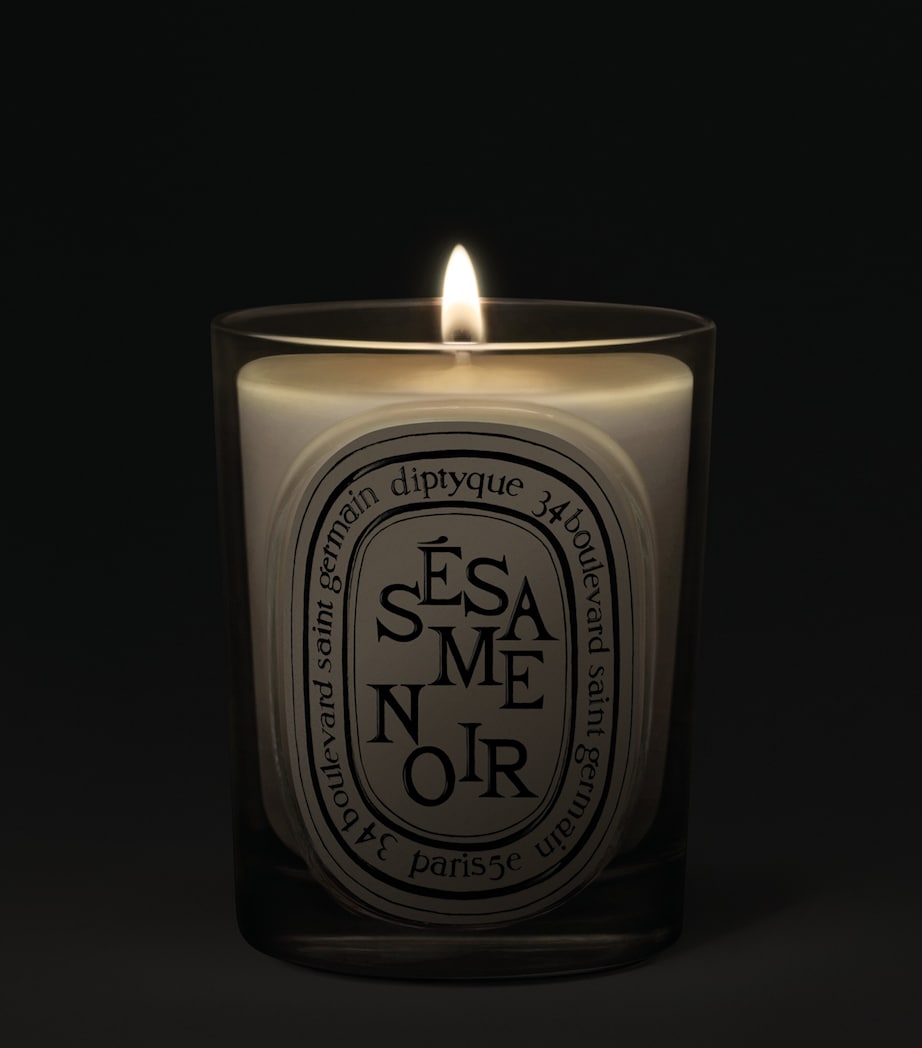 Diptyque Sesame Noir Candle (190g) Image 3