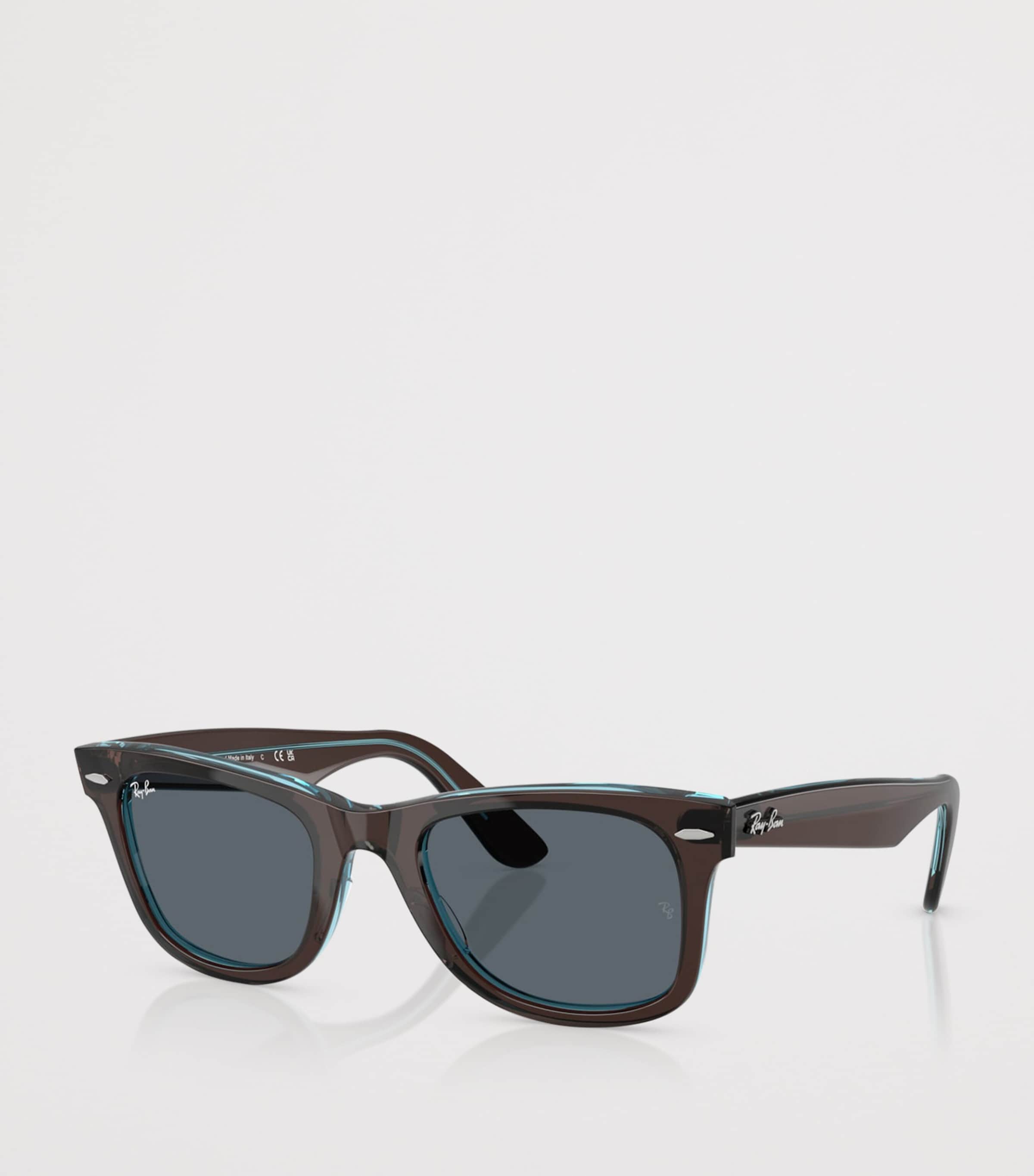 Acetate Wayfarer Sunglasses 1446R5 Image 2