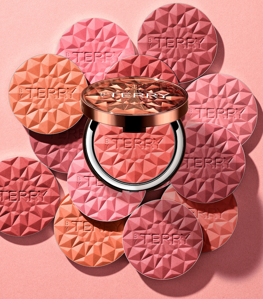 Tea to Tan Blush Powder N5 Image 4