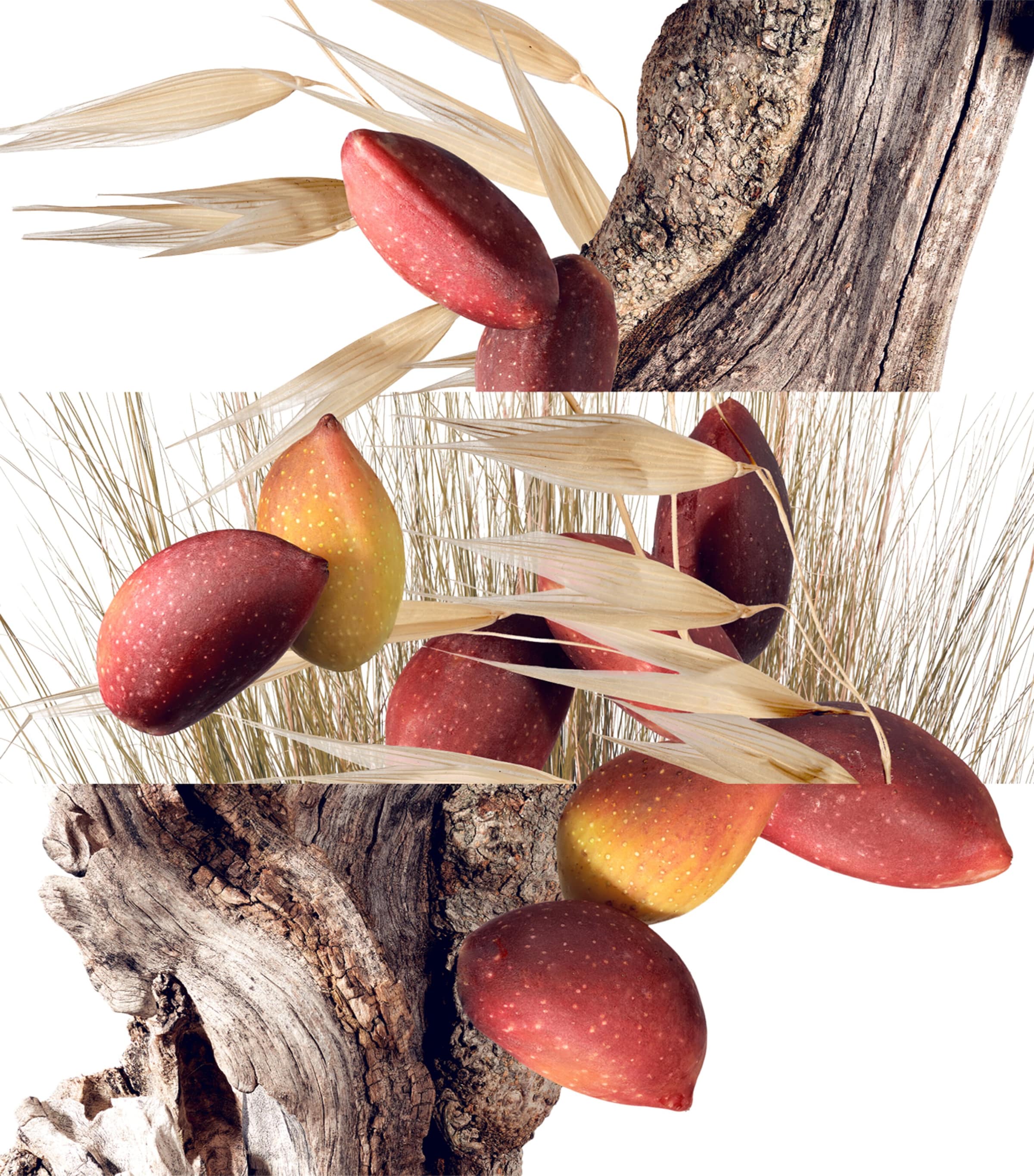 Un Jardin à Cythère Hair Mist (30ml) NO COLOUR Image 3