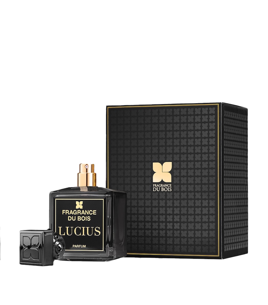 Lucius Parfum (100ml) NO COLOUR Image 3
