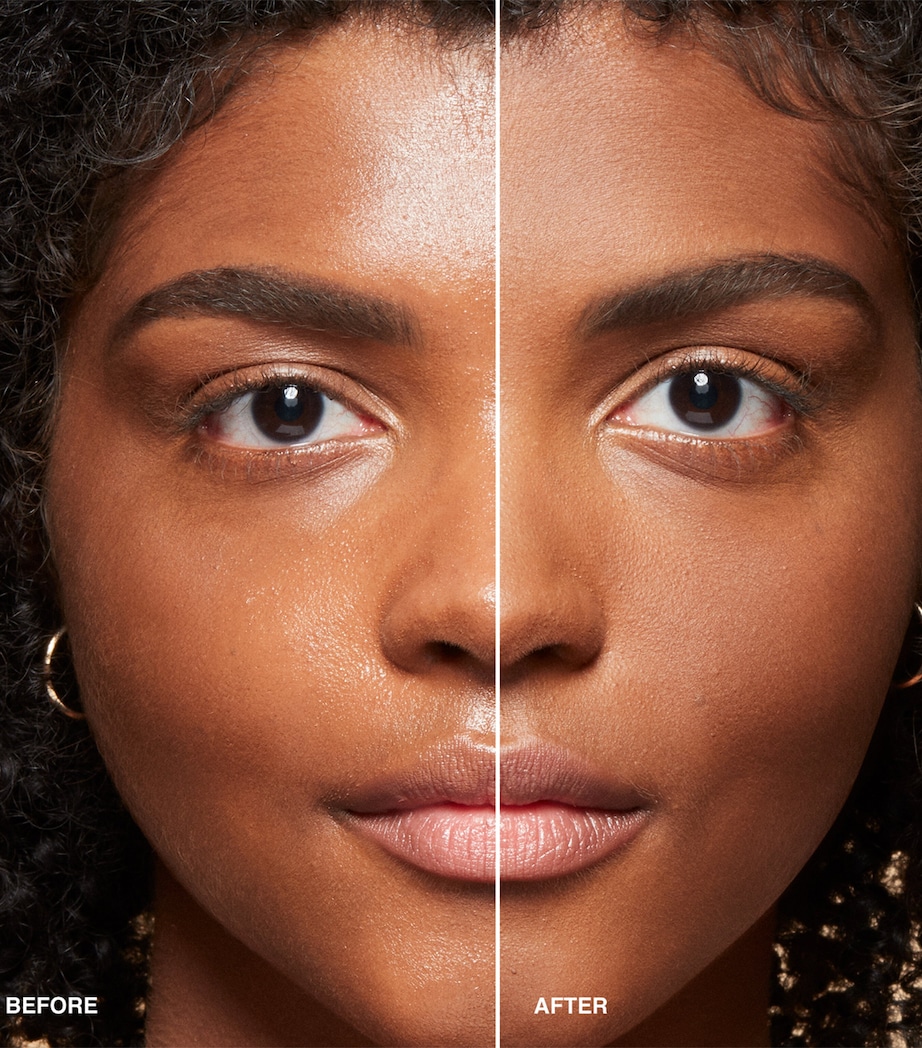 Sheer Finish Pressed Powder BASIC BROWN Image 3