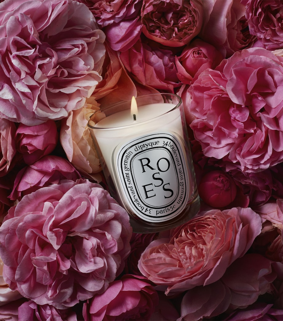 Diptyque Roses Candle (190g) Image 3