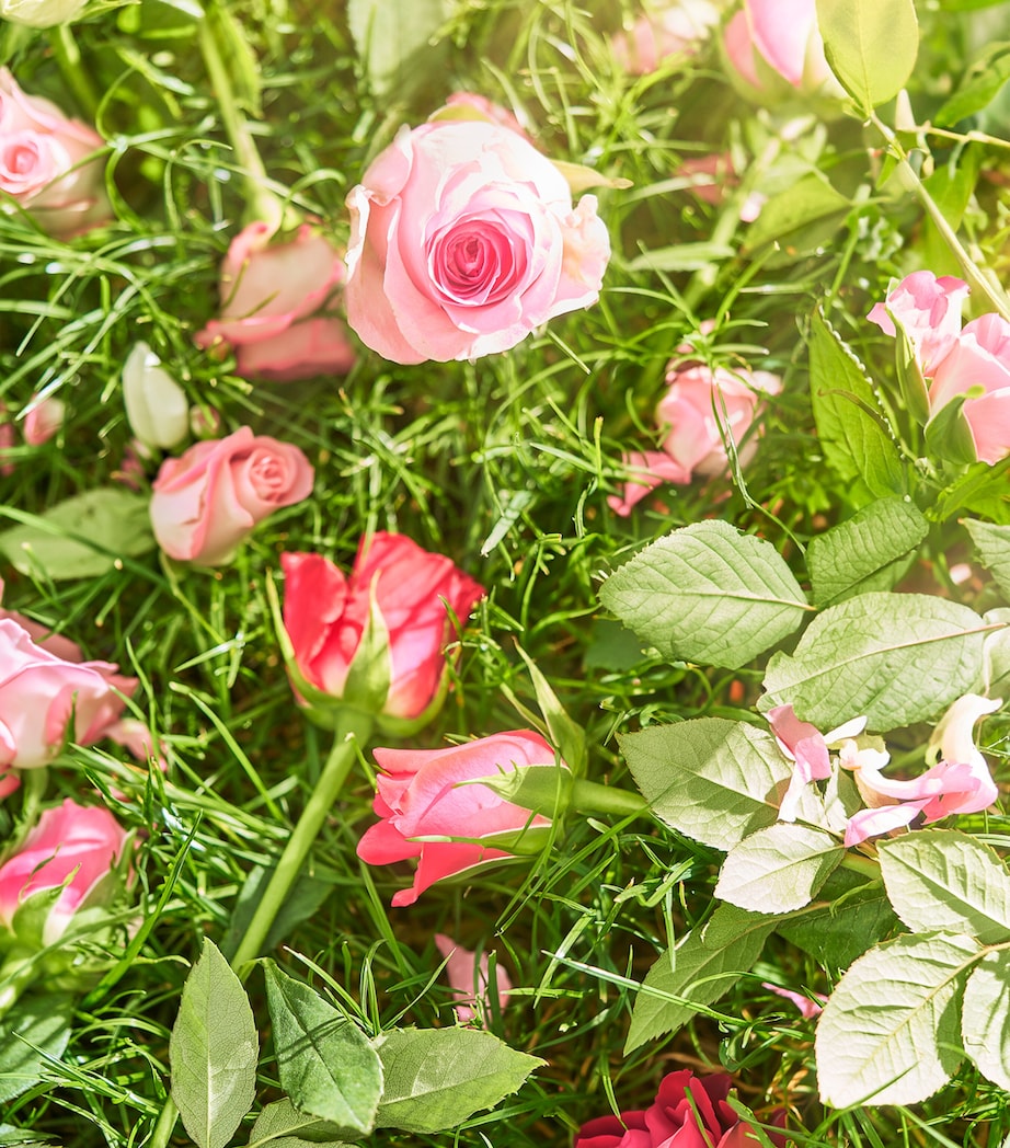 Dawn In The Rose Garden Candle (250g) WHITE Image 2