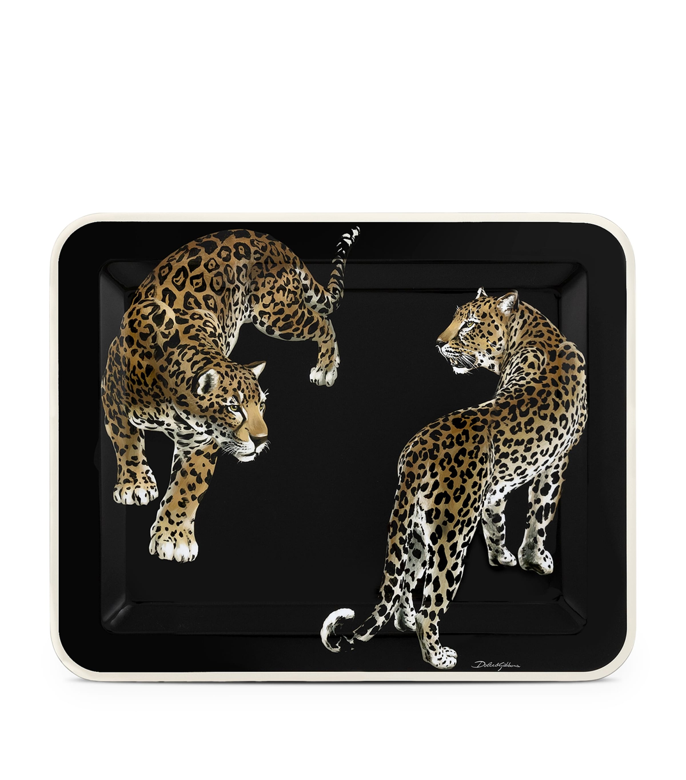 Shop Dolce & Gabbana Casa Wooden Leopard Tray