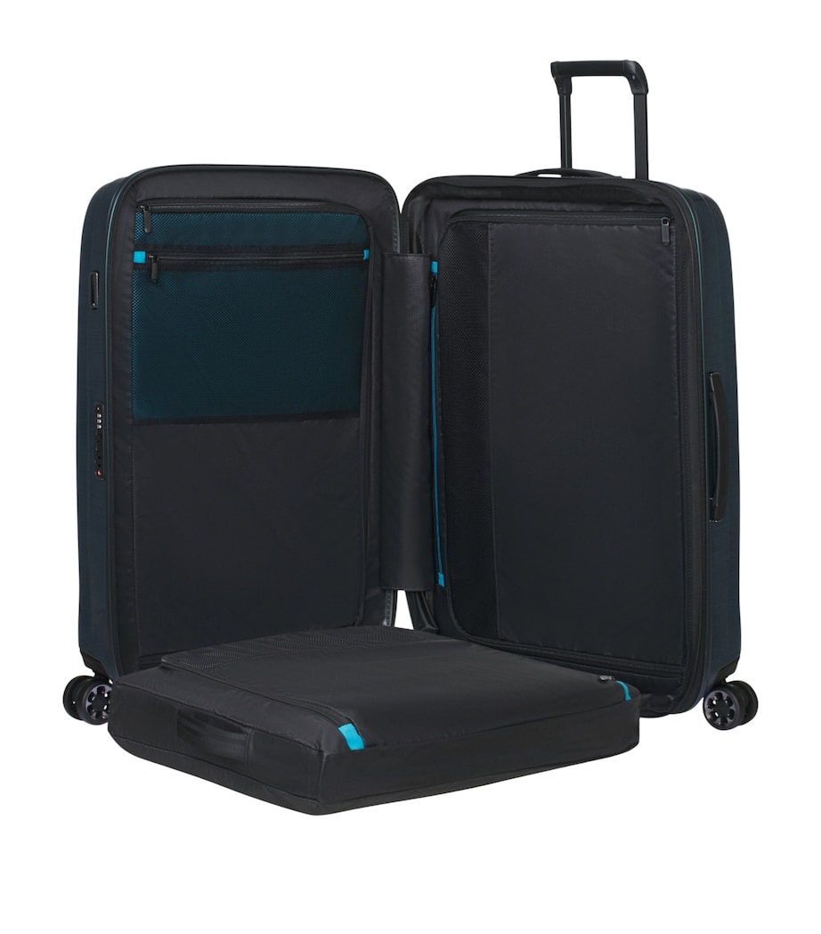 Nexis Expandable Spinner (76cm) DEEP PETROL Image 7