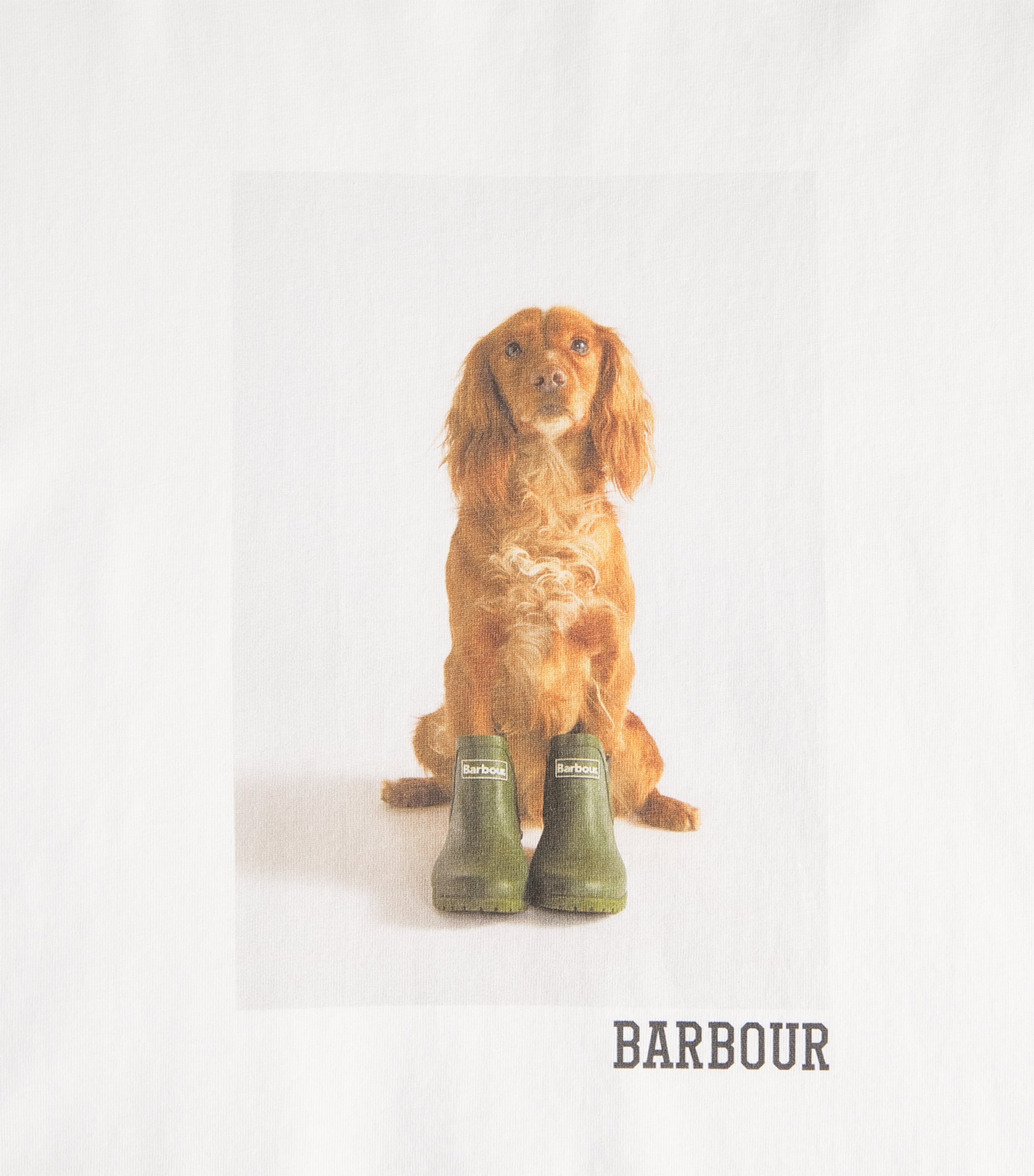 Cotton Bedale T-Shirt WHITE Image 5