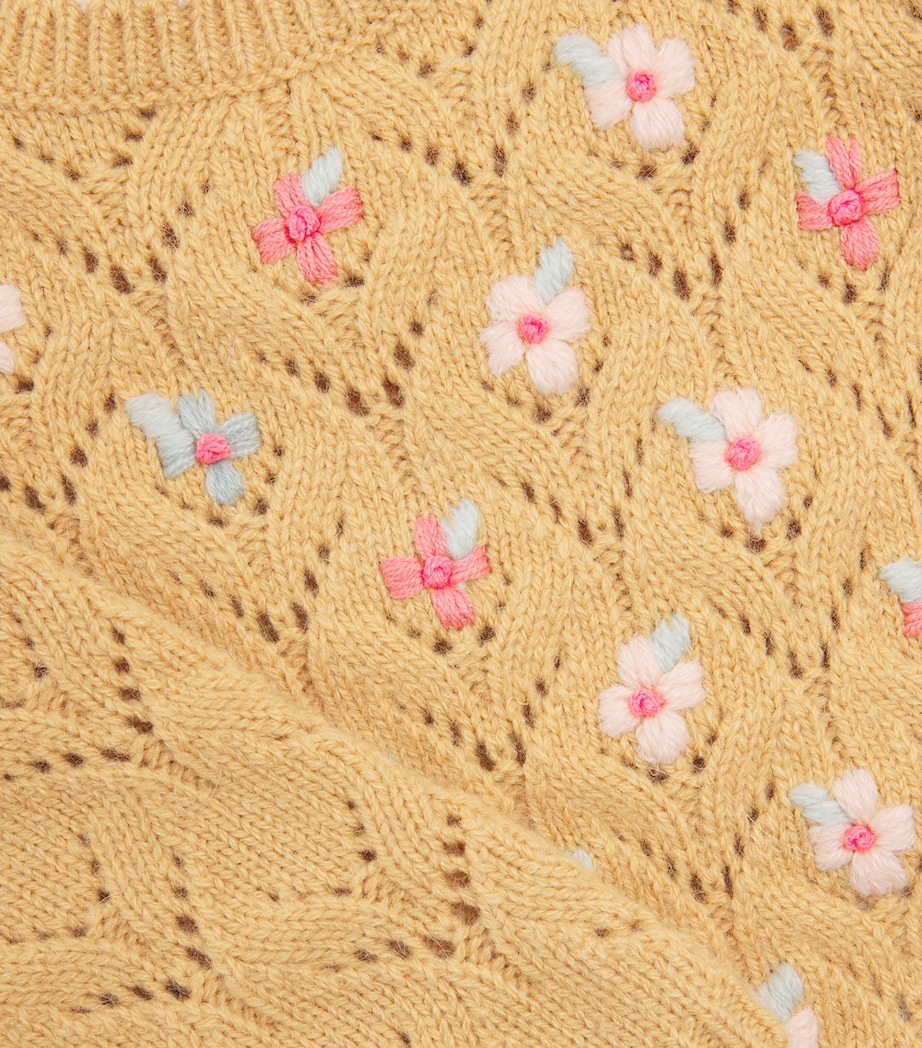Louise Misha Jadeli Embroidered Sweater (3-24 Months) Honey Image 3