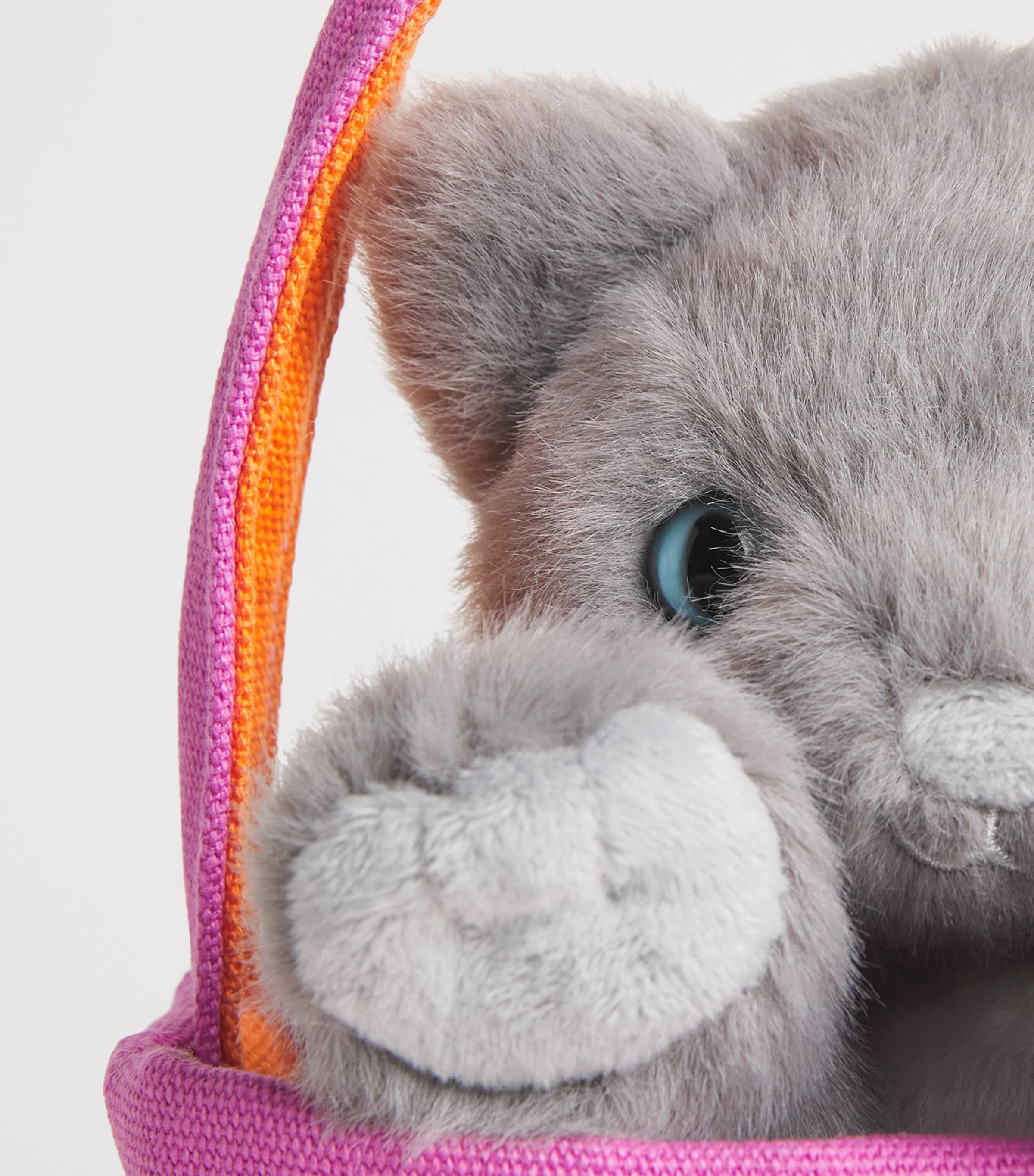 Kitten in a Bag (Small) MULTI Image 3