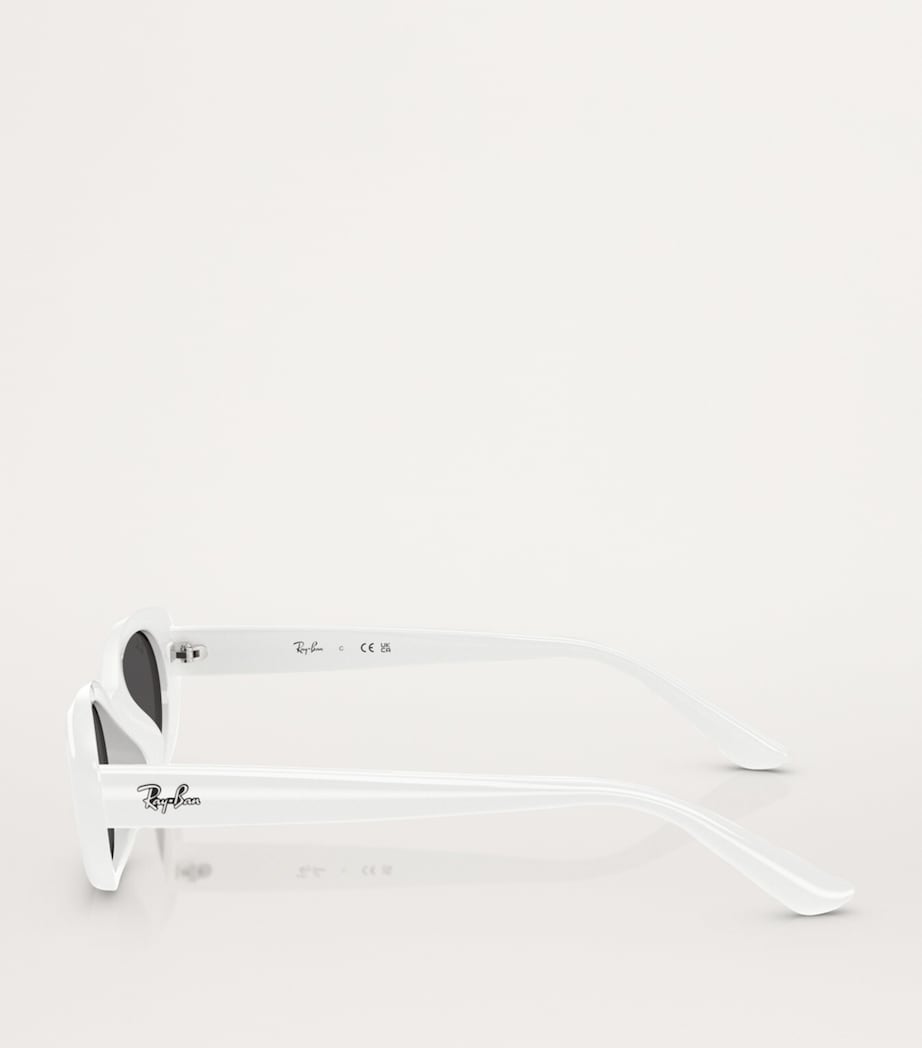 RB4441D Sunglasses 677287 Image 3