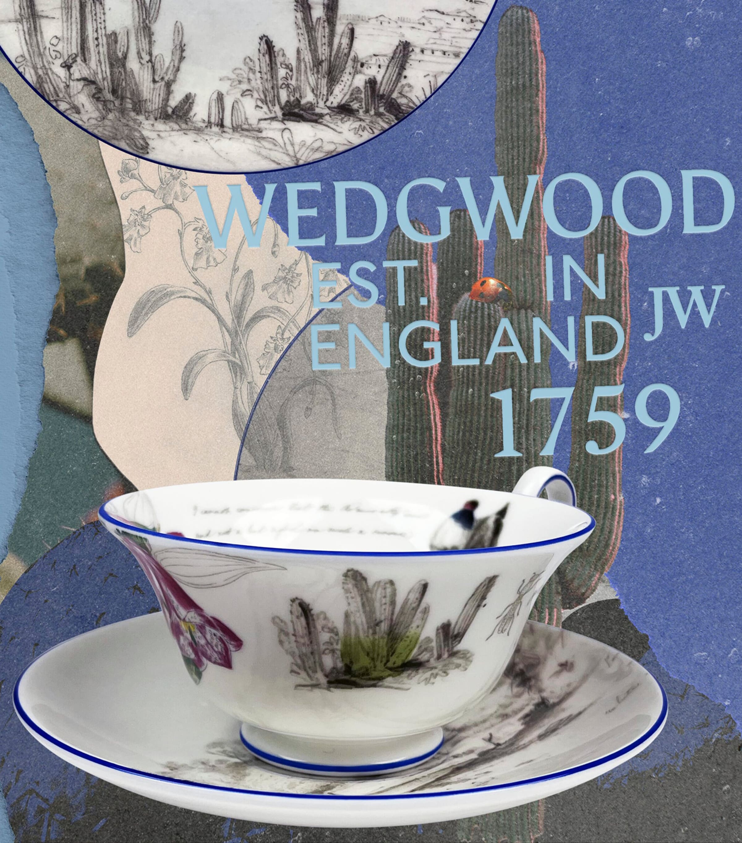 Wedgwood Voyage of the Beagle Chile Plate, Teacup and Saucer Set Image 2