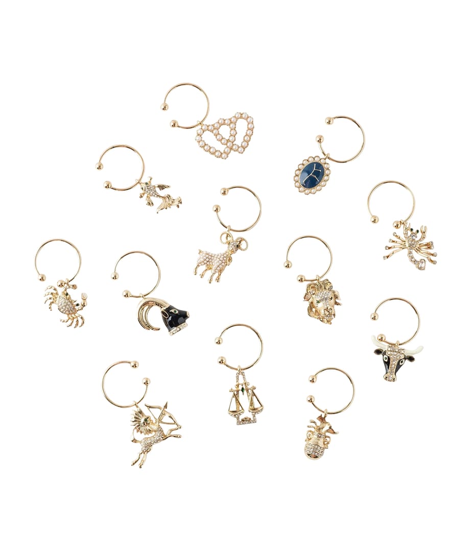 Set of 12 Zodiac Wine Charms MULTI Image 4