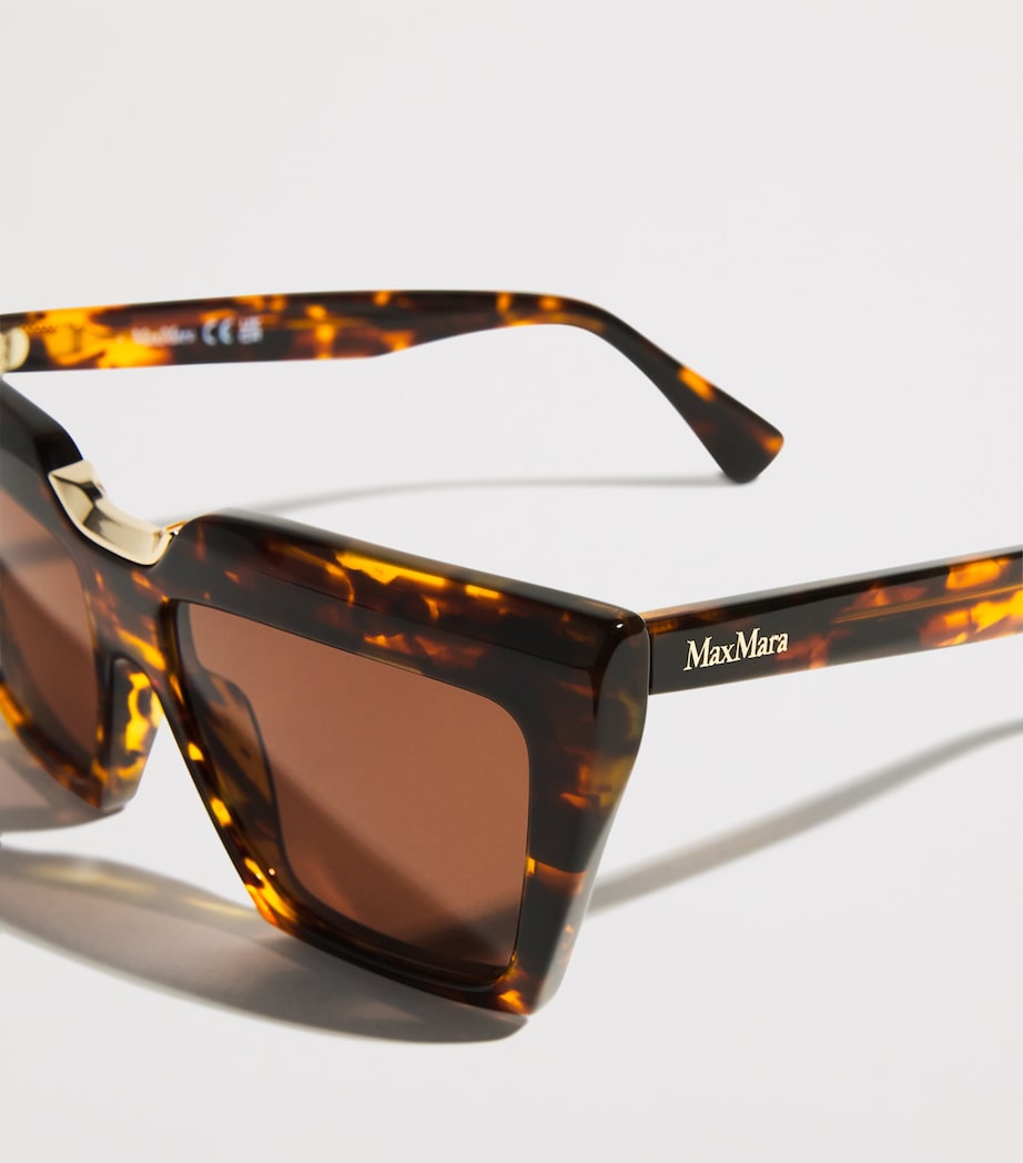 Acetate Cat-Eye SPARK7 Sunglasses TAWNY BRONZE BROW Image 5