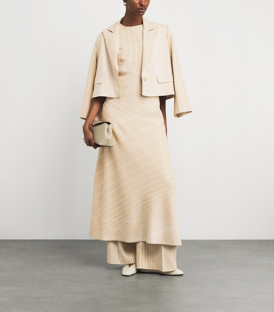 Embroidered Stripe Maryse Maxi Dress AFFOGATO/IVORY Image 2