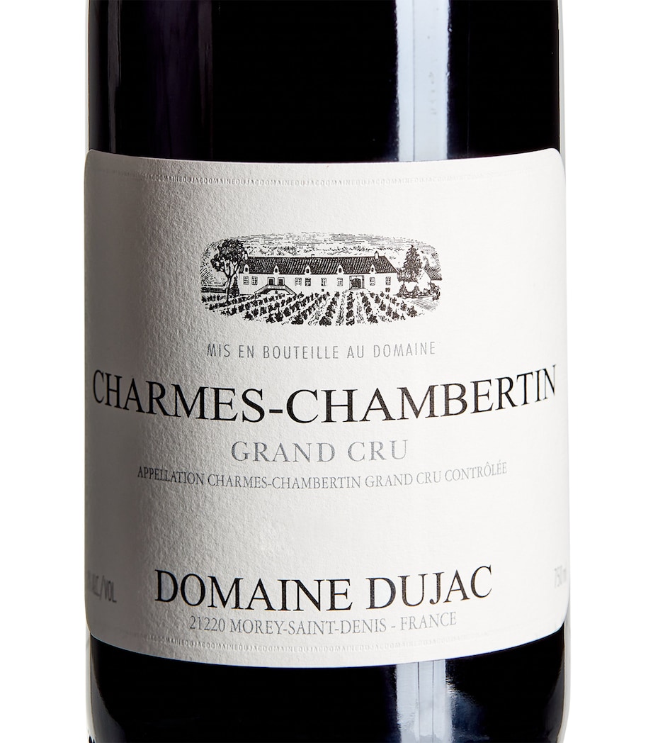 Charmes-Chambertin Grand Cru 2019 (75cl) - Burgundy, France NO COLOUR Image 2