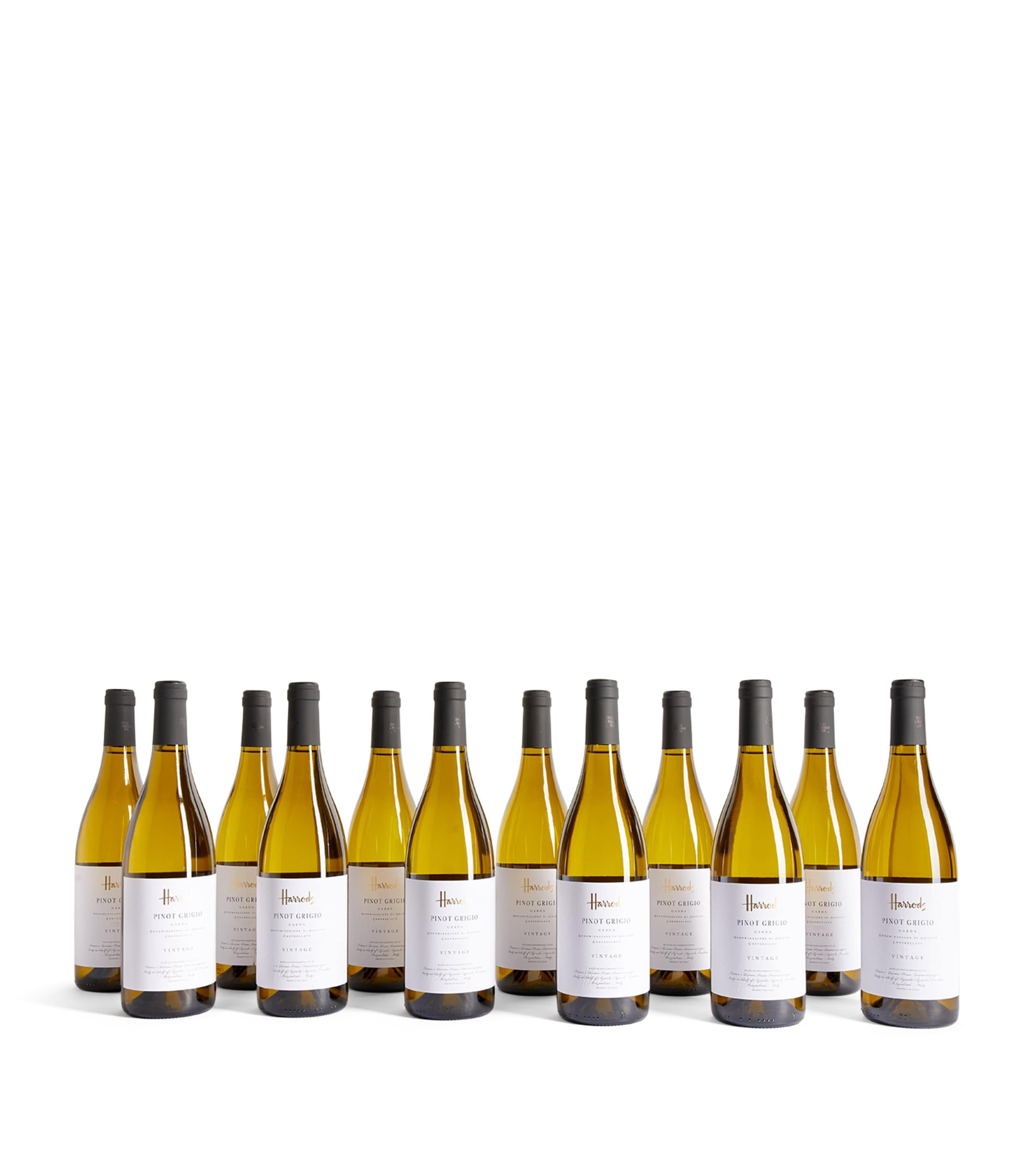Pinot Grigio Wine Case (12 Bottles) - Lombardy, Italy NO COLOUR Image 3