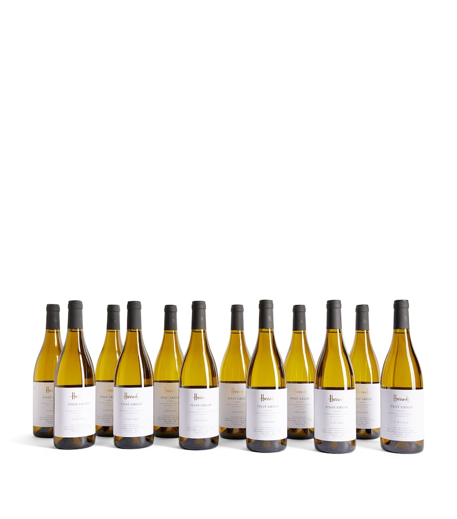Pinot Grigio Wine Case (12 Bottles) - Lombardy, Italy WHITE Image 3