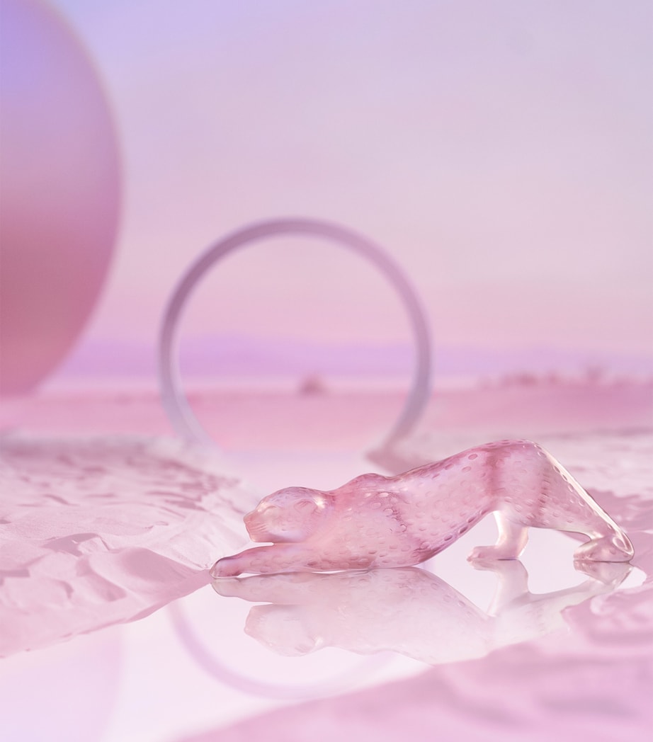 Large Rose Nebula Zeila Panther INCOLORE Image 2