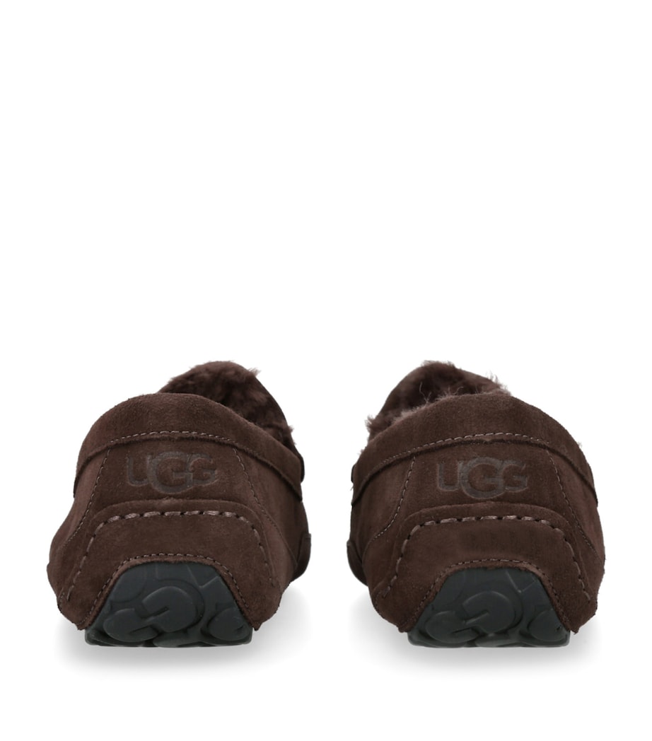 UGG Ascot Slippers Brown/oth Image 2