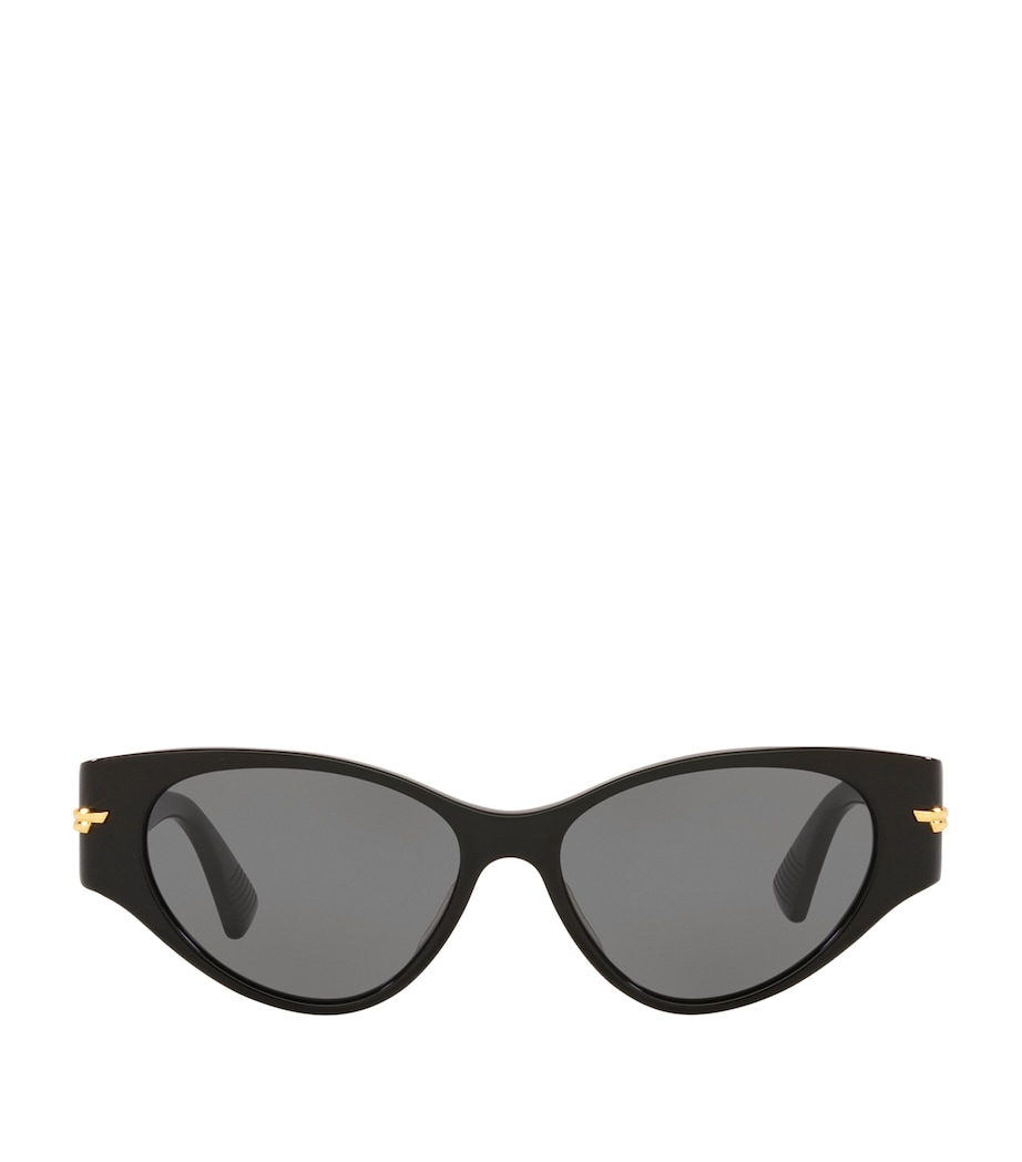 Cat Eye Sunglasses 1330L1 Image 1