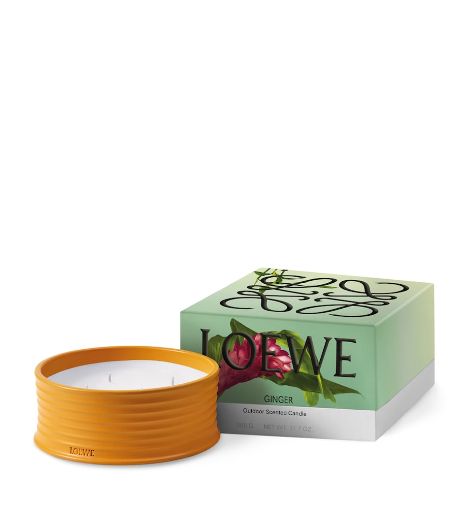 Ginger Outdoor Candle NO COLOUR Image 2