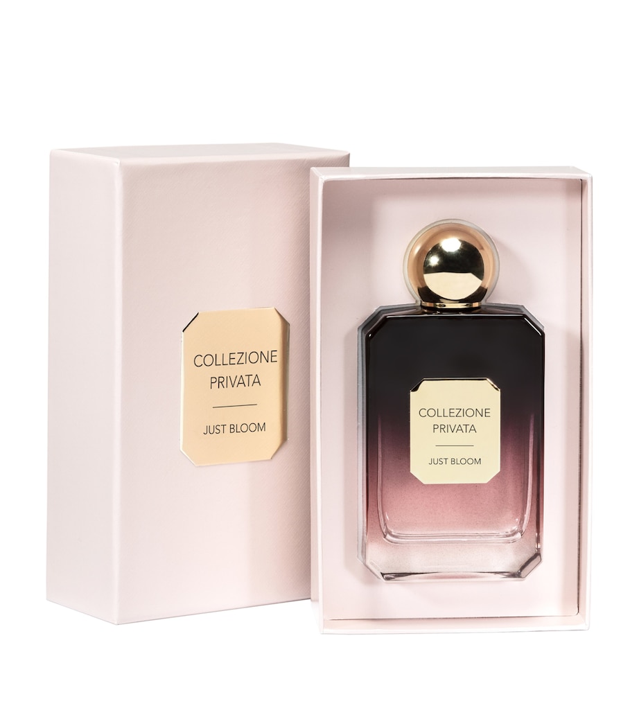 Just Bloom Eau de Parfum (100ml) NO COLOUR Image 2