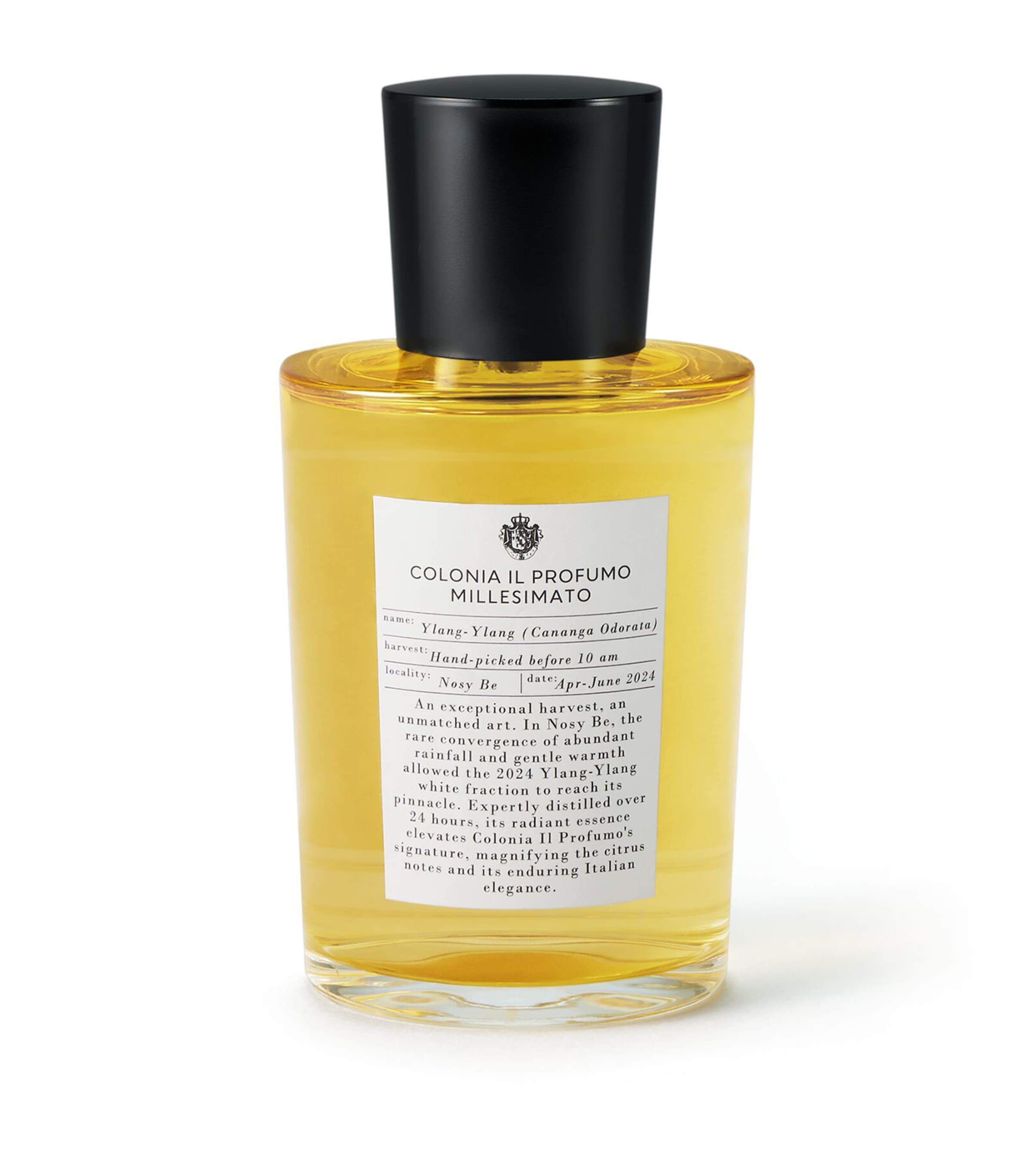 Colonia Il Profumo Millesimato Eau de Parfum (100ml) NO COLOUR Image 2