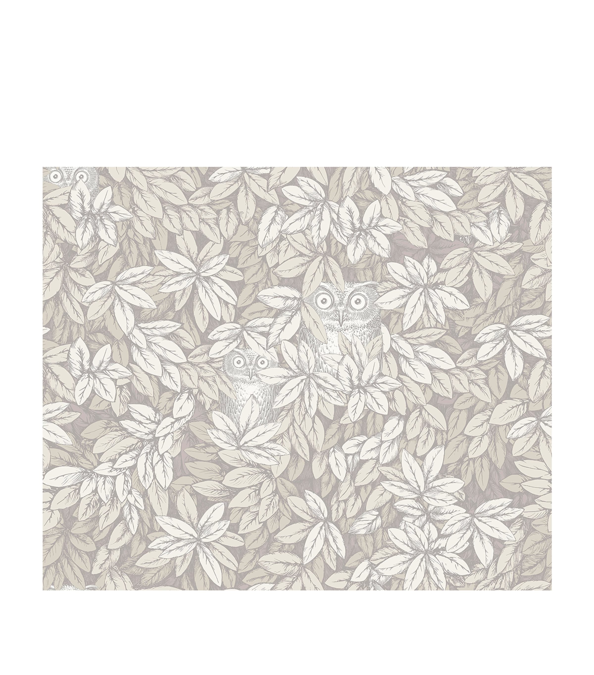 Cole & Son x Fornasetti Foglie e Civette Wallpaper Roll White Image 1