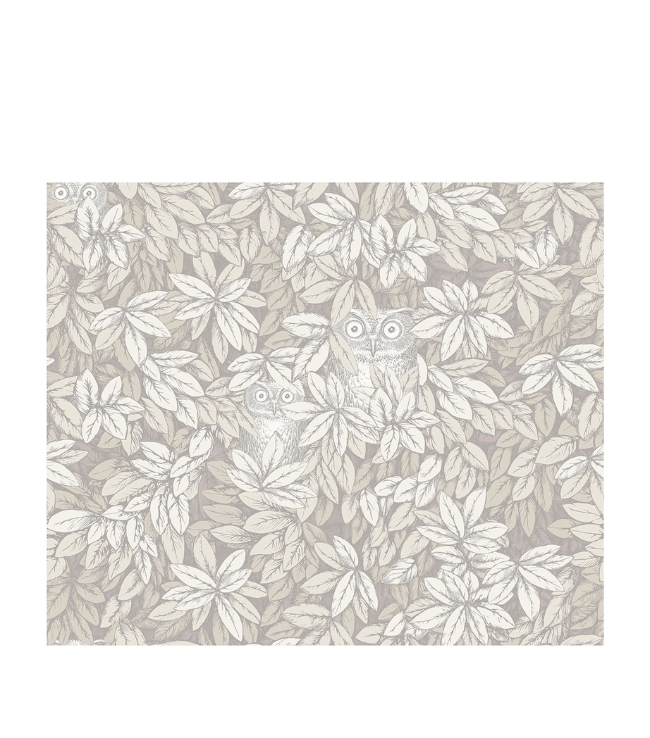 Cole & Son x Fornasetti Foglie e Civette Wallpaper Roll White Image 1