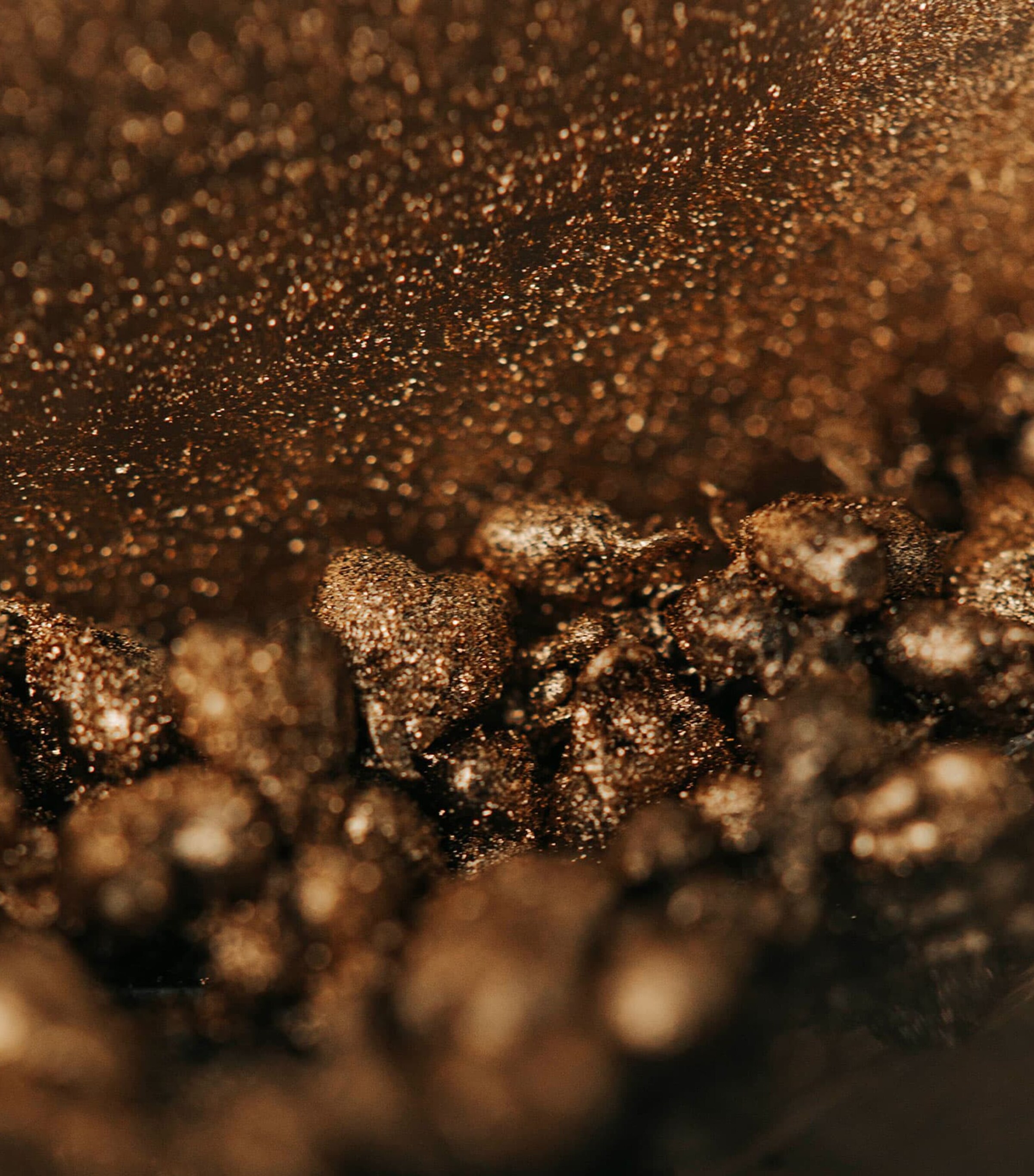 To'ak Alchemy Amazonian Ants Dark Chocolate Bars 56g Image 3