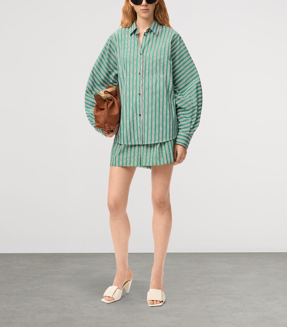 LOEWE Womens Oversized Stripe Shirt Green/white Image 2