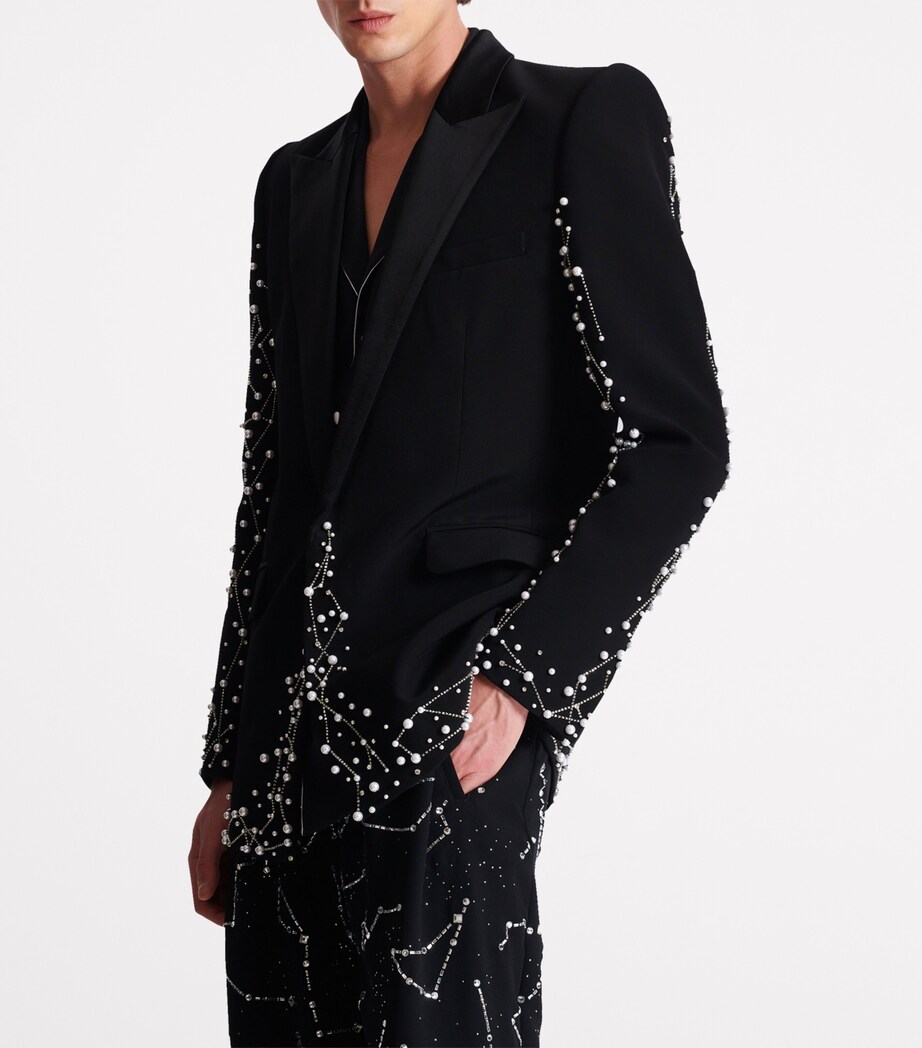 Embroidered Single-Breasted Blazer EAW NOIR/CRISTAL Image 4
