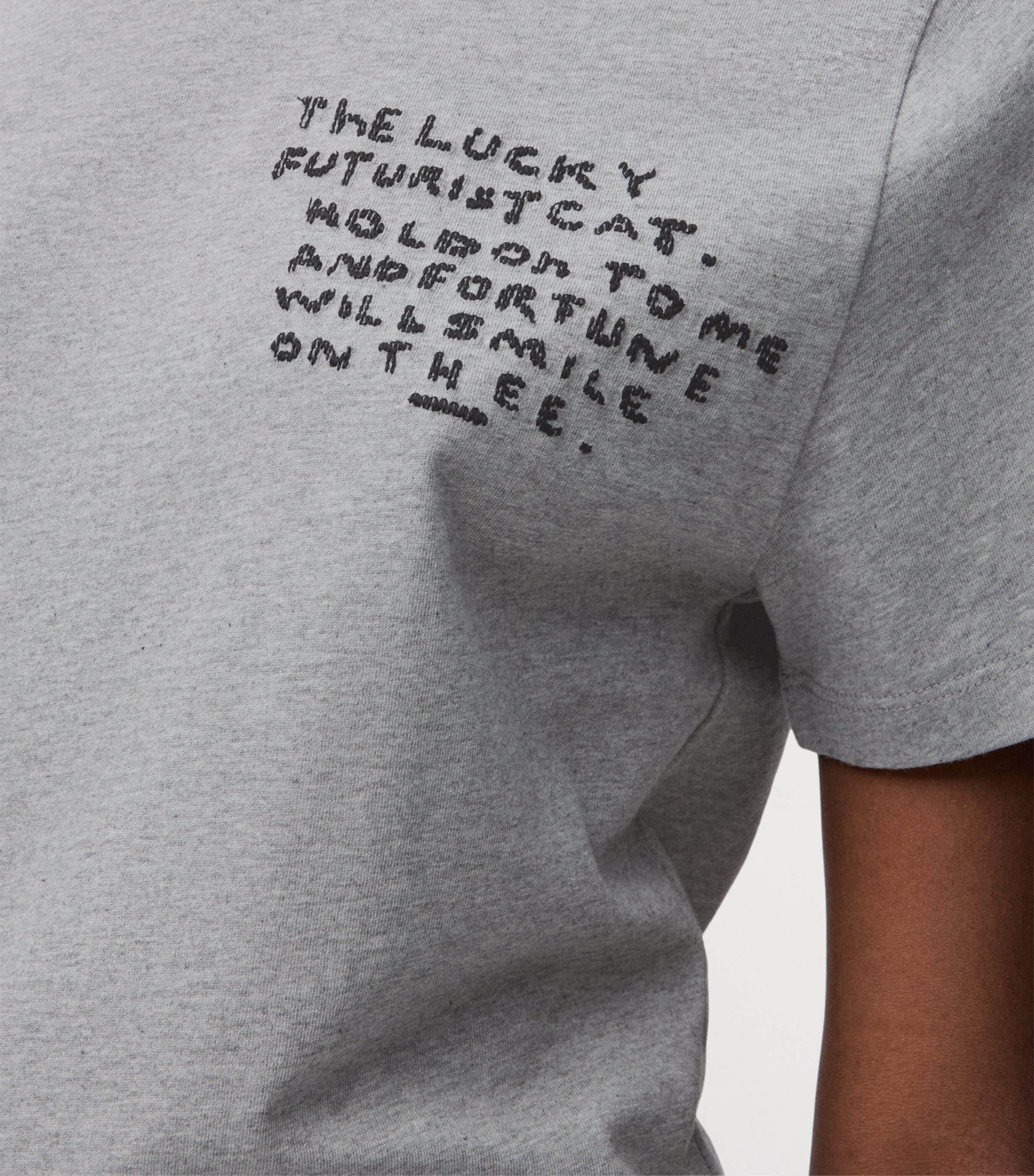 x Louis Wain Cotton Embroidered T-Shirt GREY MELANGE Image 6