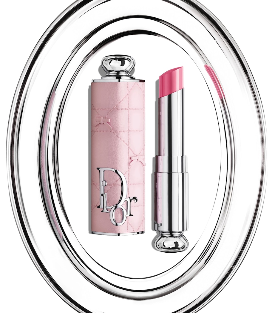 DIOR Dior Addict Lipstick Case Grey Image 3