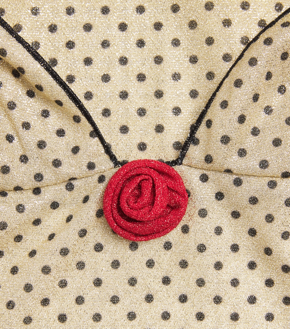 Rose Lumière Mini Dress BLACK POIS Image 5