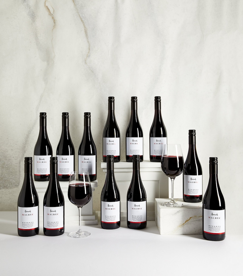 Malbec Wine Case (12 Bottles) - Mendoza, Argentina RED Image 1