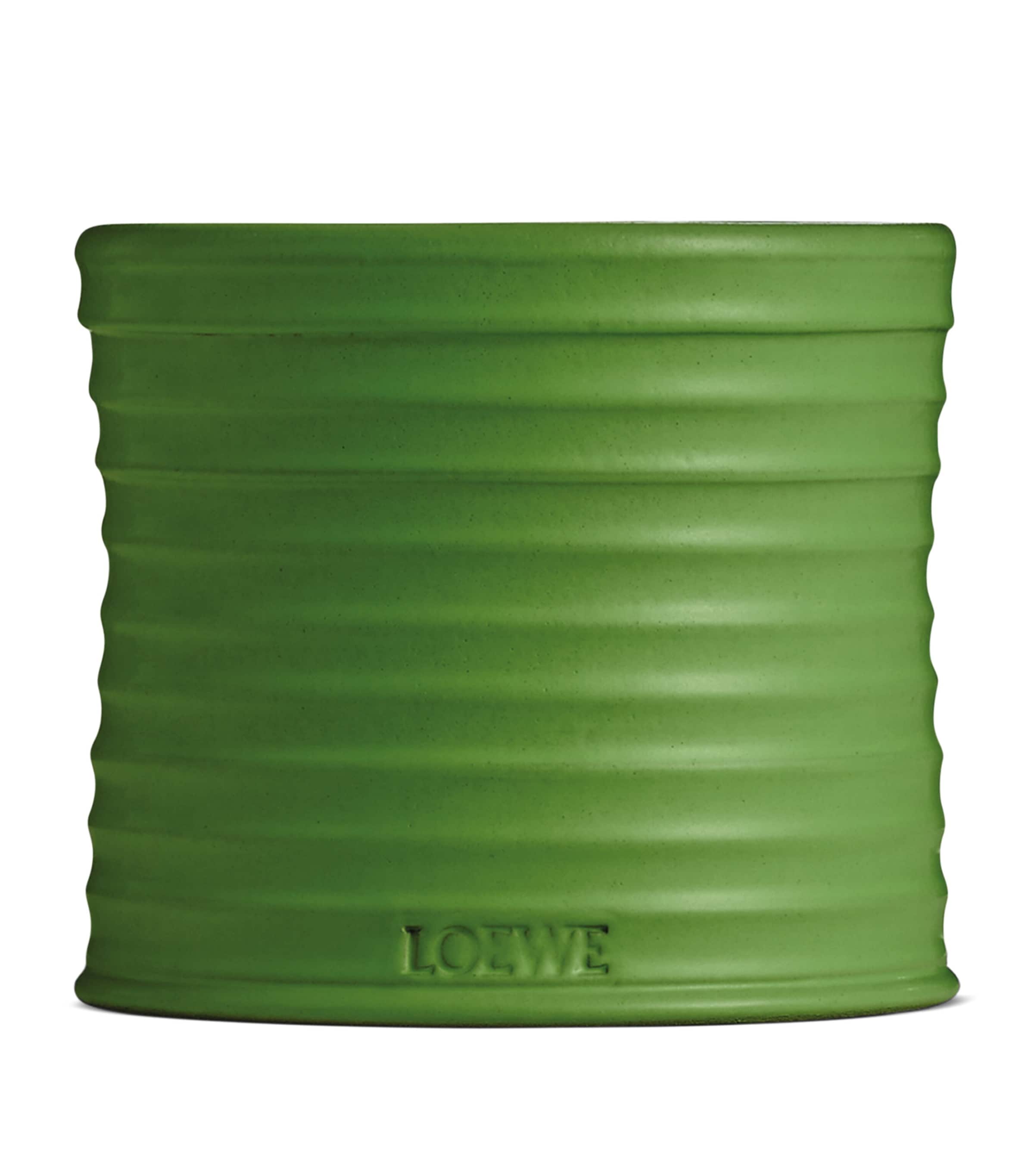 LOEWE Perfumes Medium Luscious Pea Candle (610g) | Harrods UK