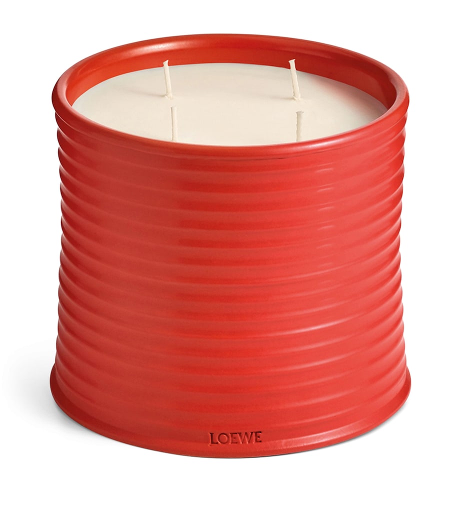 Large Tomato Leaves Scented Candle NO COLOUR Image 1