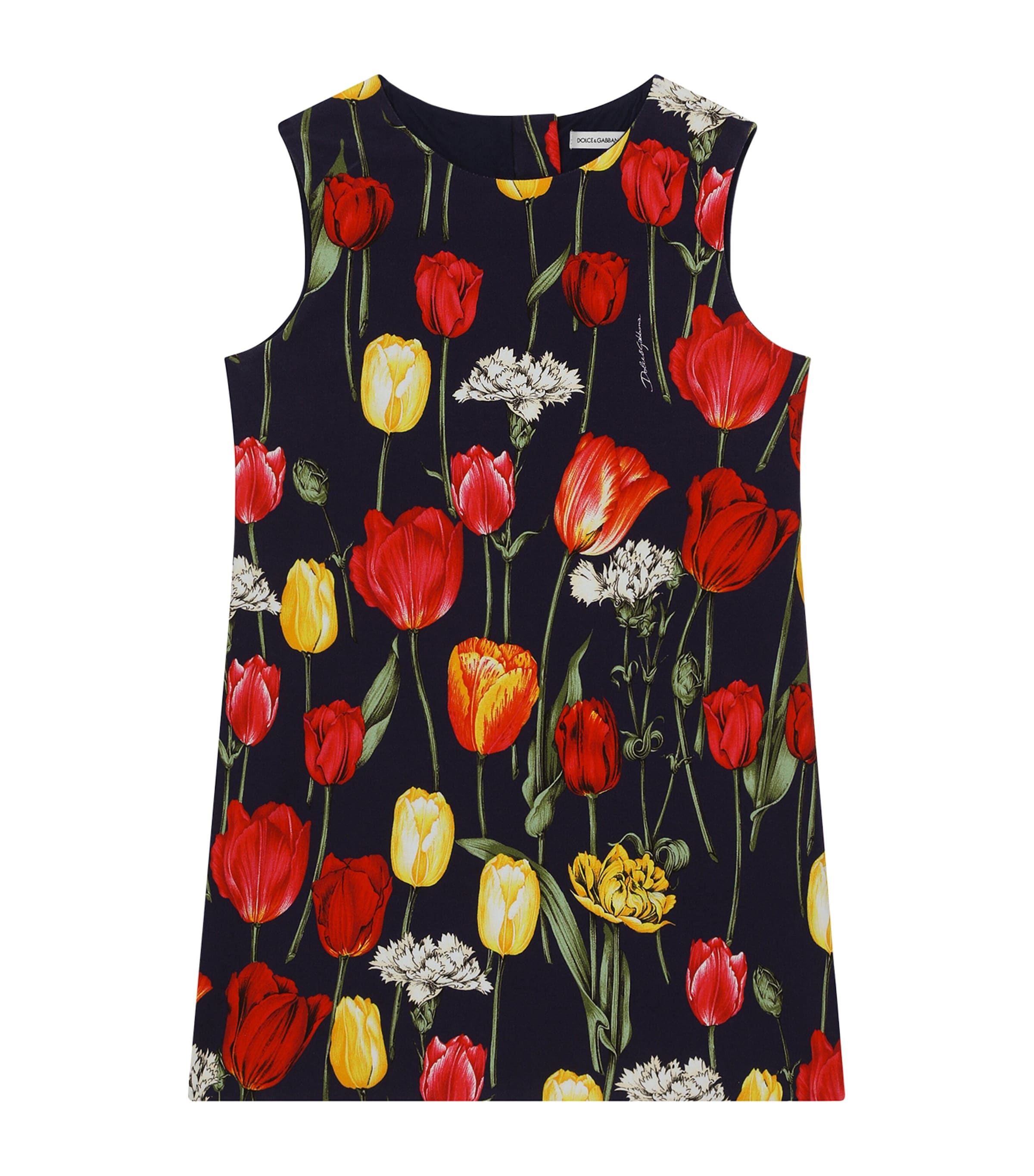 Shop Dolce & Gabbana Floral Sleeveless Dress