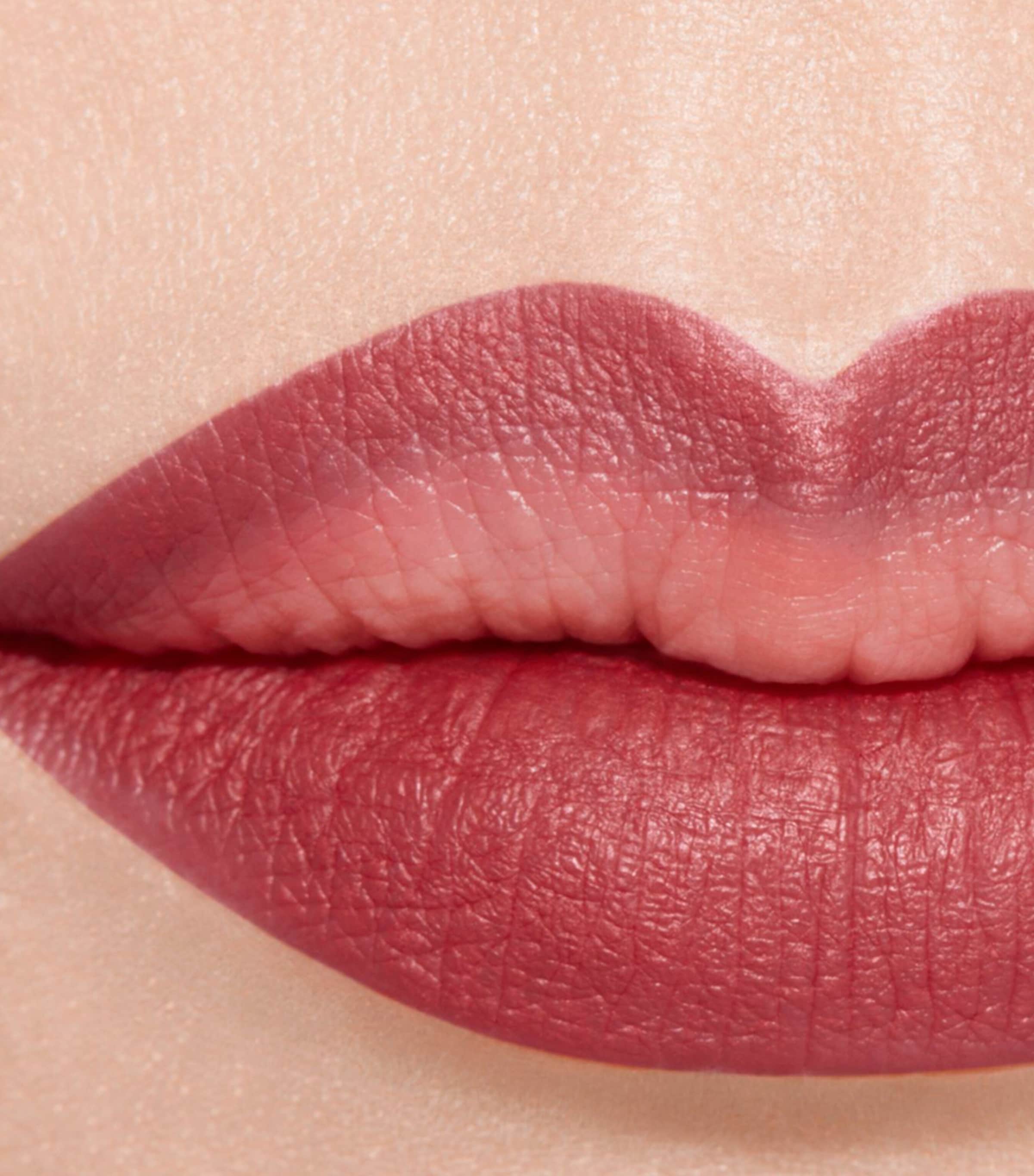 LE CRAYON LÈVRES RENOVATION Longwear Lip Pencil BOIS DE ROSE Image 3