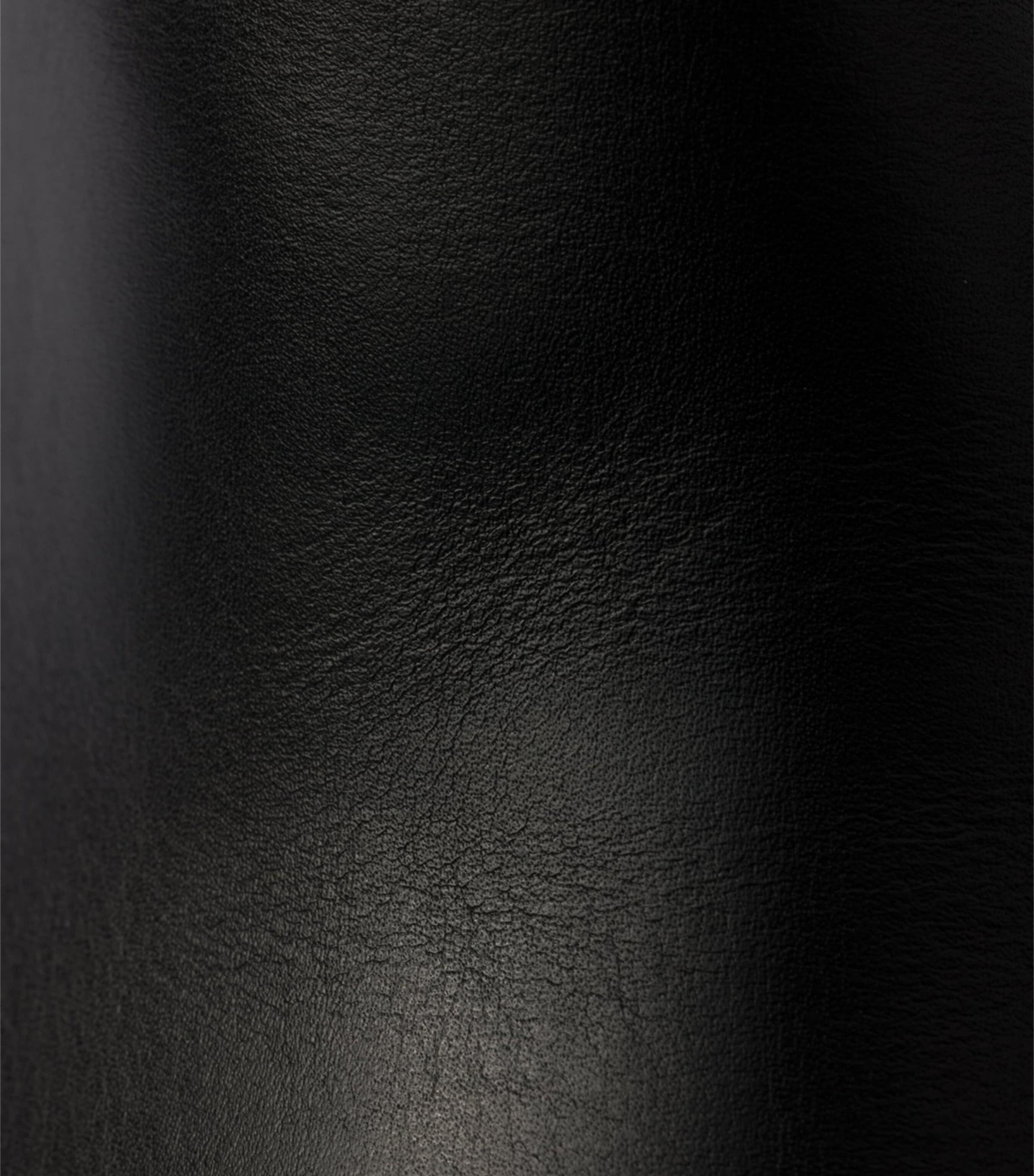 Calfskin Toblach Ankle Boots F0002 Image 6