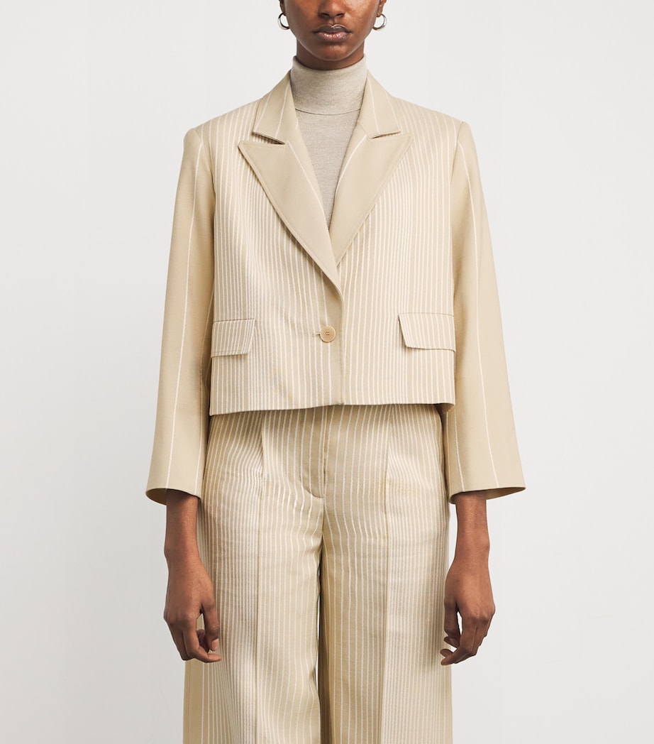 Embroidered Stripe Berlier Blazer AFFOGATO/IVORY Image 3