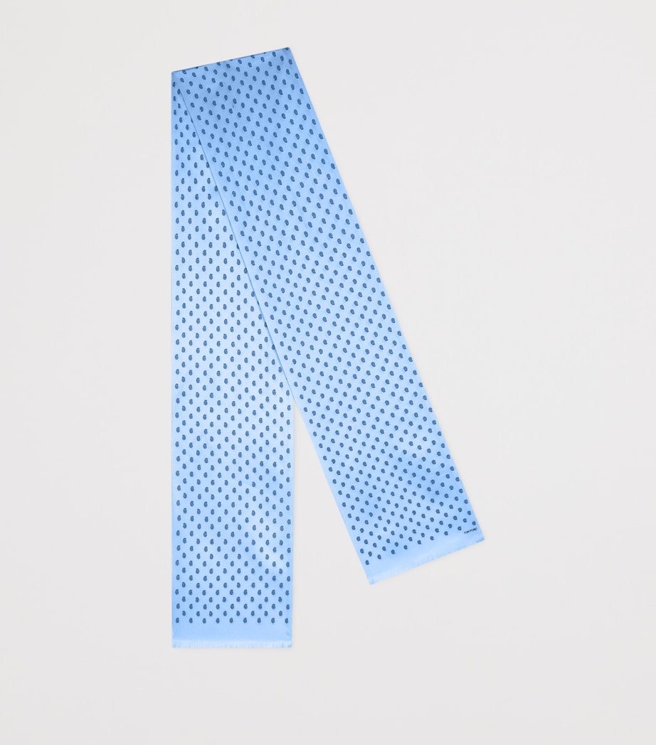 Silk Printed Scarf UAV Image 2