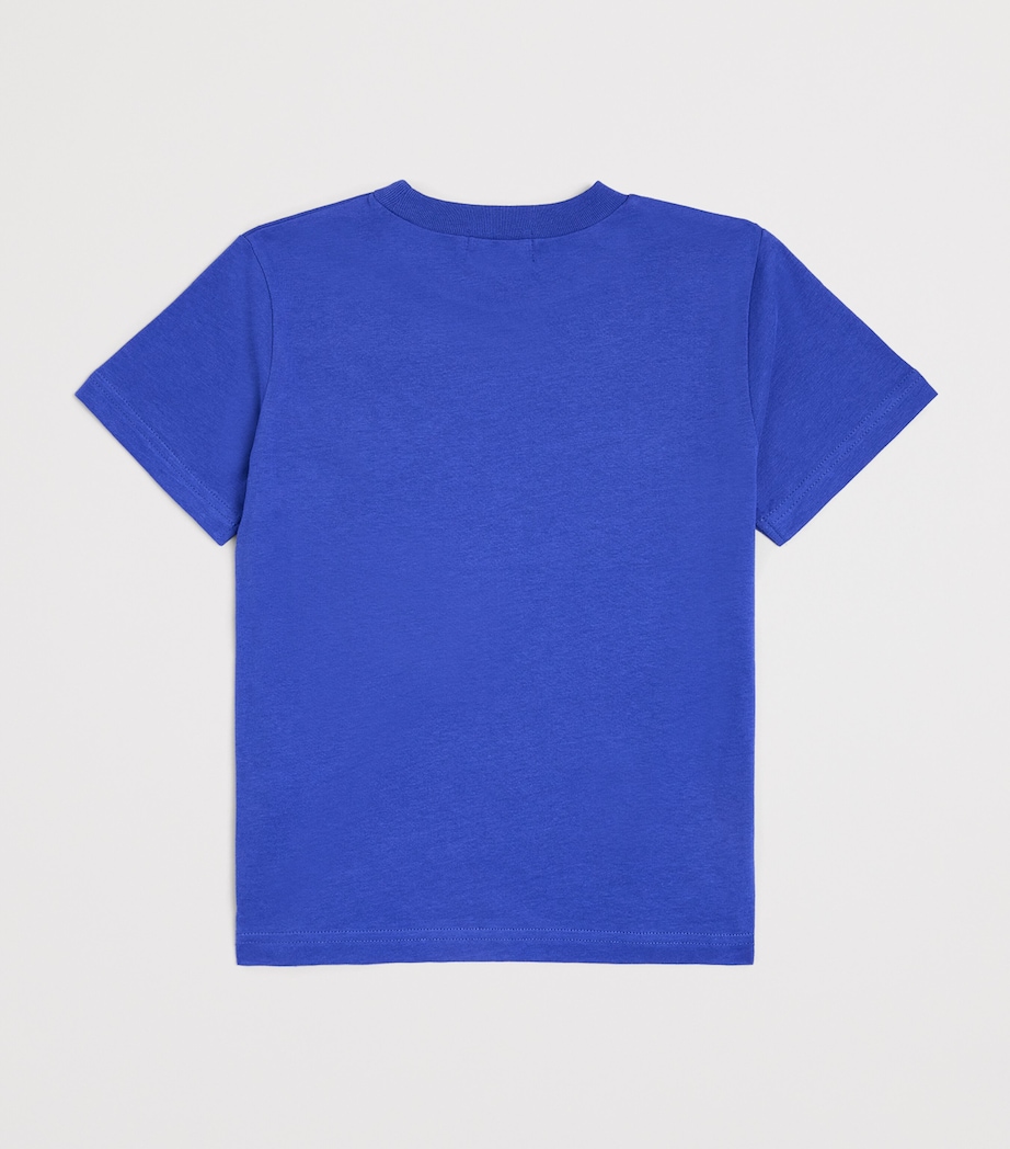 Cotton Graphic T-Shirt (8-12 Years) BLUE Image 2
