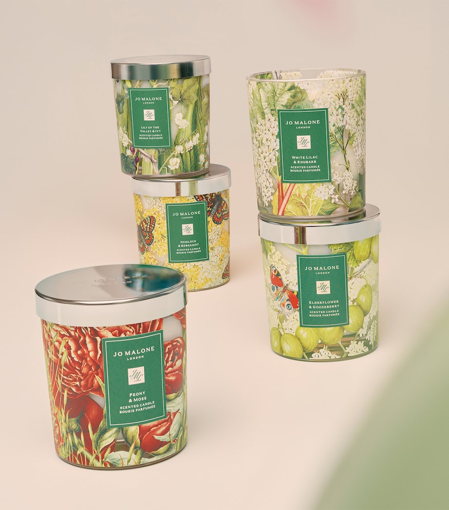 Hemlock & Bergamot Charity Classic Candle (200g) NO COLOUR Image 3