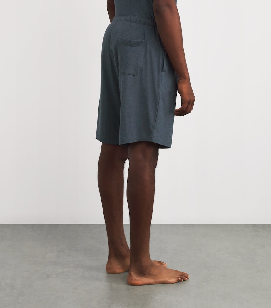 Basel Lounge Shorts GREY/GRAY Image 4