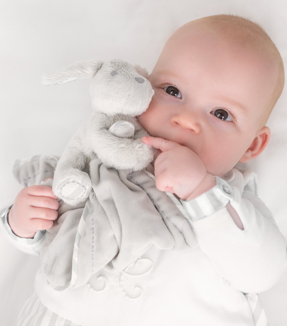 Lucien Le Chien 21 GRIS Image 2