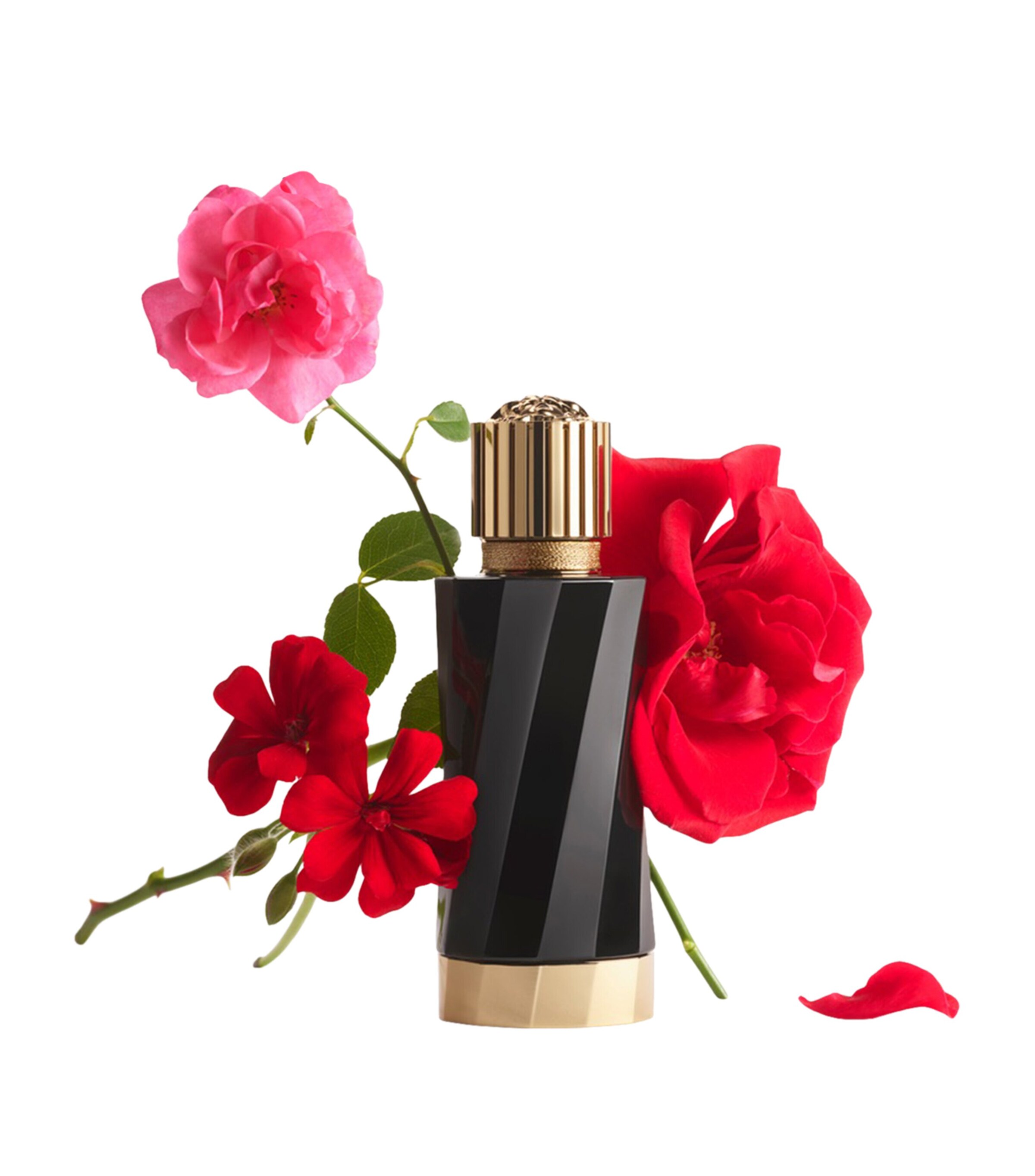 Versace Atelier Rose Flamboyante Eau de Parfum (100ml) Image 3